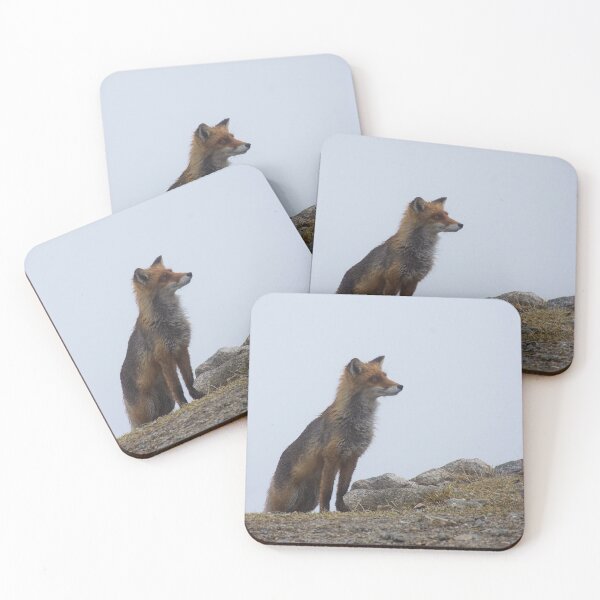 Item preview, Wet fox on the mountain designed and sold by Hilda Rytteke.