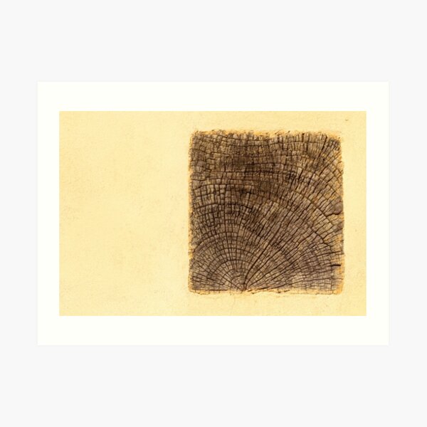 rêve de maison Art Print