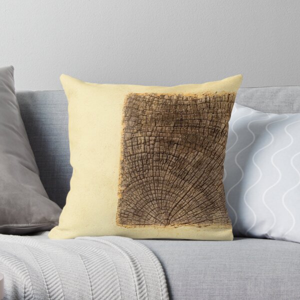 rêve de maison Throw Pillow