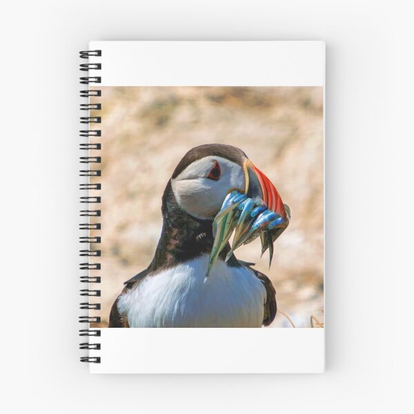 Item preview, Puffin with Sand eels designed and sold by Chris Mallon.