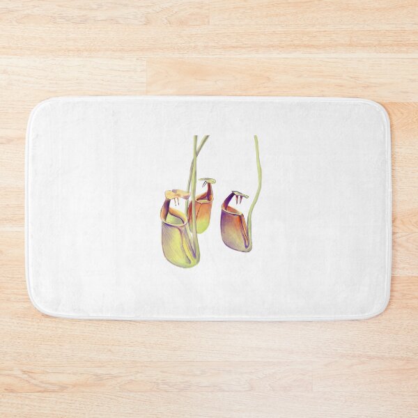 Item preview, Nepenthes bicalcarata | carnivorous plant | pitcher plant  designed and sold by Carnivorous  Plant Club ⭐⭐⭐⭐⭐.