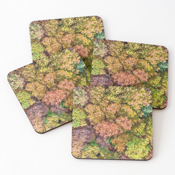 Item preview, Aerial view of colorful autumn forest designed and sold by Lukasz Szczepanski.
