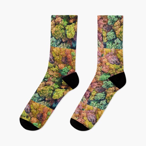 Item preview, Aerial view of colorful autumn forest designed and sold by Lukasz Szczepanski.
