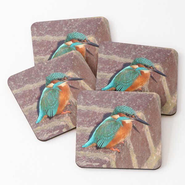 Item preview, kingfisher designed and sold by tammy mellor.