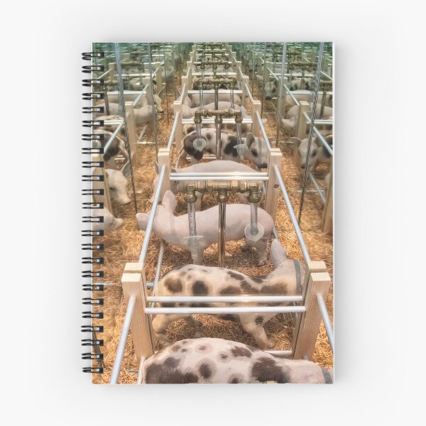 Item preview, Intensive Farming designed and sold by Chris Mallon.
