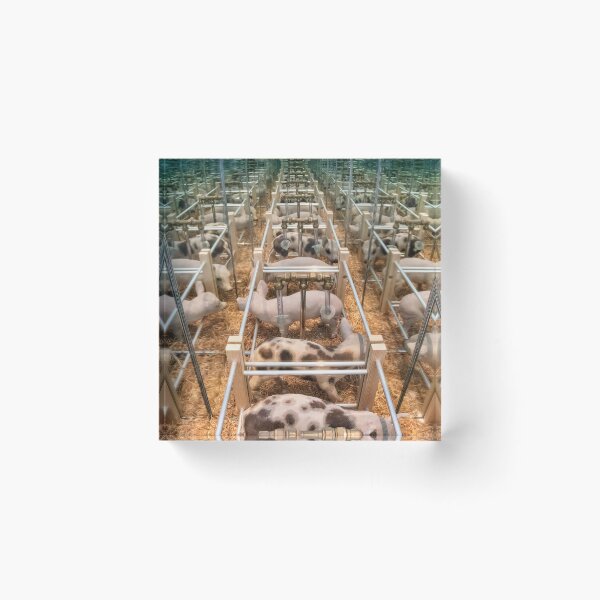 Item preview, Intensive Farming designed and sold by Chris Mallon.