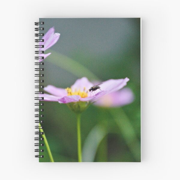 Item preview, fly on a flower designed and sold by AidaArt.