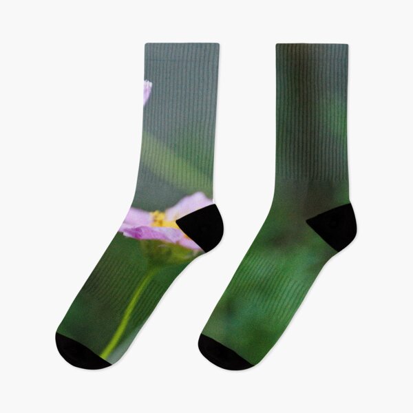 Item preview, fly on a flower designed and sold by AidaArt.