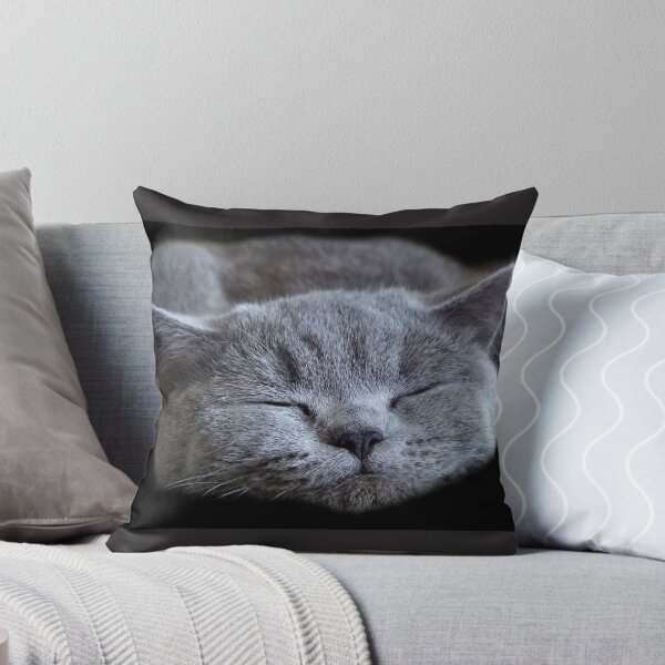 Artikelvorschau, britisch blaue kurzhaarkatze katzenartig niedlich entworfen und verkauft von Fractalidocious.