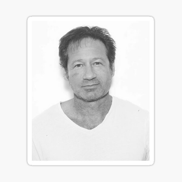 David Duchovny Sticker