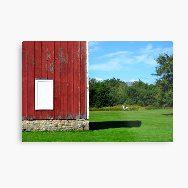 Metal Print