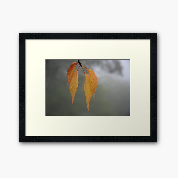 Item preview, Leaf in the Mist designed and sold by Geoff Smith.