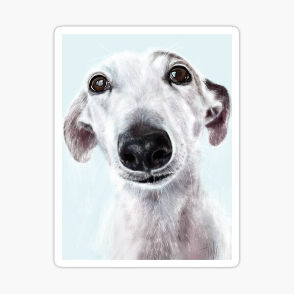 Galgo Espanol Steven Sticker