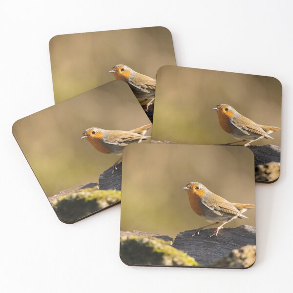 Item preview, European Robin, Lago di Alviano, Umbria, Italy designed and sold by AndrewJonesFoto.