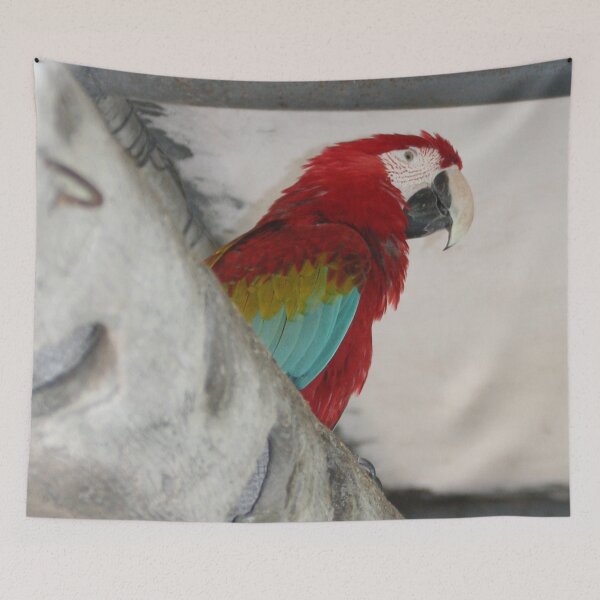 Item preview, Red Parrot designed and sold by XCEEDTRANSITION.