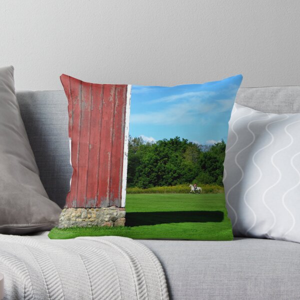 Throw Pillow