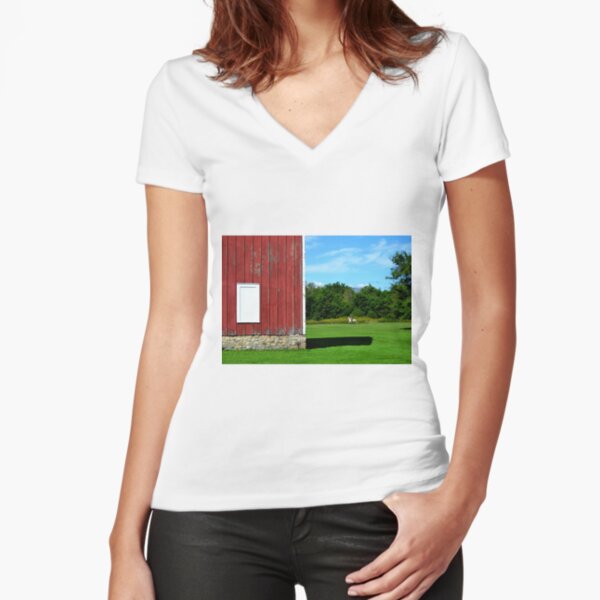 Fitted V-Neck T-Shirt