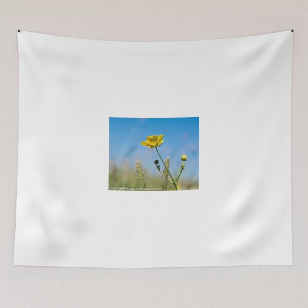 Aperçu de l'œuvre Buttercup from Meadow flower collection créée et vendue par designbywhacky.