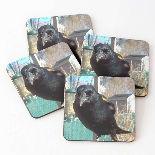 Item preview, Redwing Blackbird designed and sold by Maureen Zaharie.
