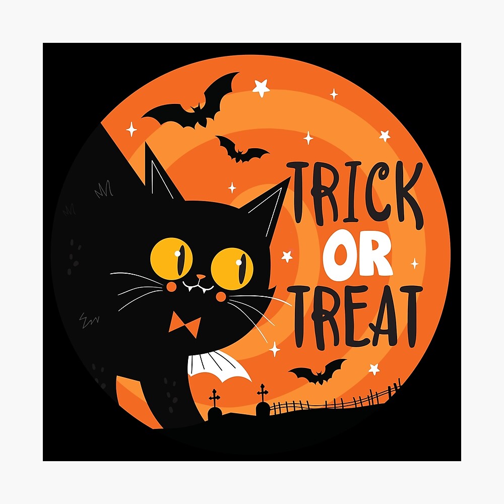 Halloween Cat: Bạn đã chuẩn bị sẵn sàng cho Halloween chưa? Chỉ còn vài ngày nữa thôi, hãy xem hình ảnh mèo Halloween này để năng cao cảm hứng cho bữa tiệc đêm Halloween của bạn nhé!