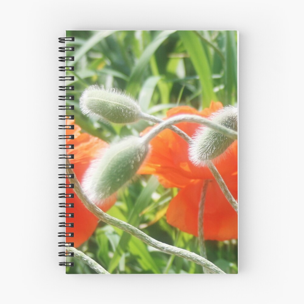 Item preview, Spiral Notebook designed and sold by MsTique.