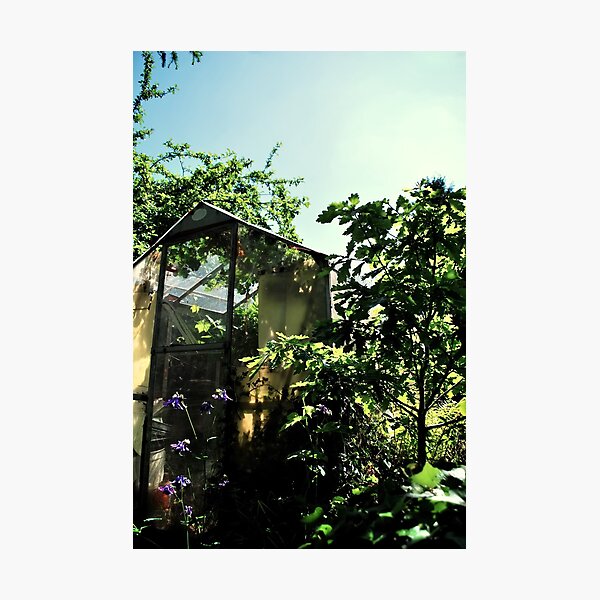 Item preview, The Old Greenhouse designed and sold by Richard Owen.