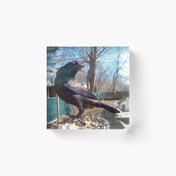 Item preview, Crow designed and sold by Maureen Zaharie.