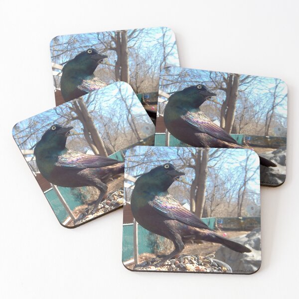 Item preview, Crow designed and sold by Maureen Zaharie.