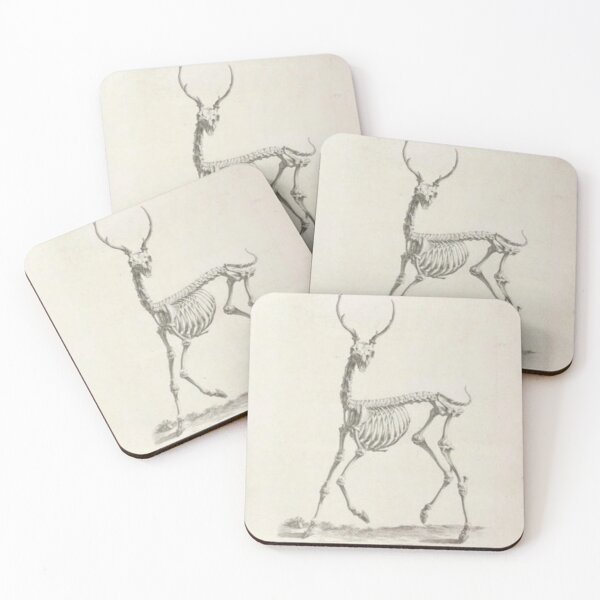 Item preview, Deer Skeleton designed and sold by BlueSpecsStudio.