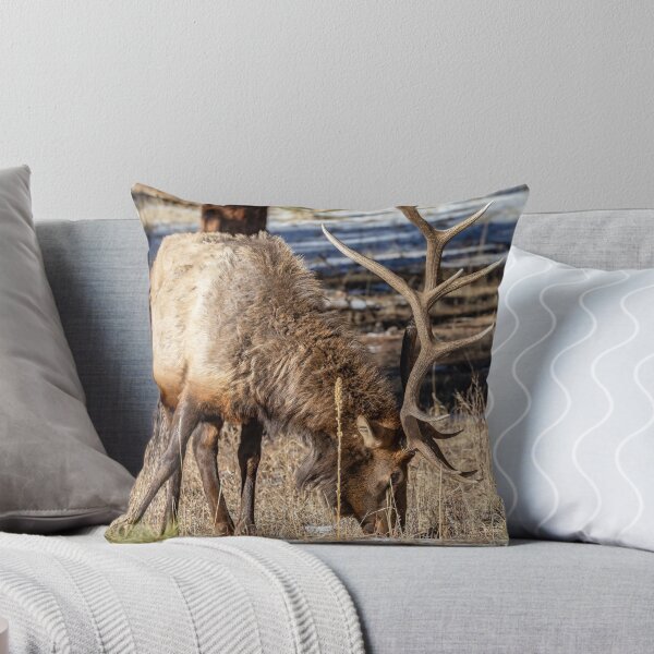 Item preview, Bull Elk pastando designed and sold by DaveTeePhoto.
