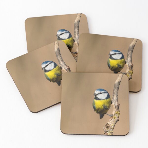 Item preview, European Blue Tit, Lago di Alviano, Umbria, Italy designed and sold by AndrewJonesFoto.