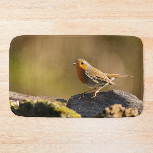 Item preview, European Robin, Lago di Alviano, Umbria, Italy designed and sold by AndrewJonesFoto.