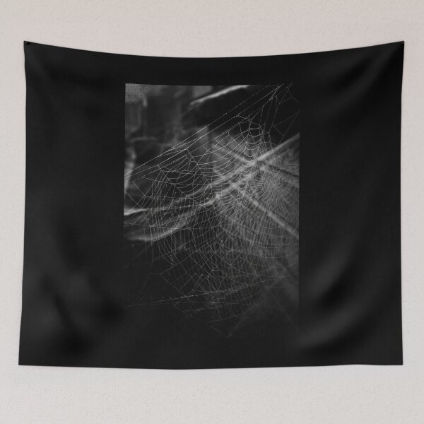 Item preview, Autumn Cob Webs designed and sold by widdy170.