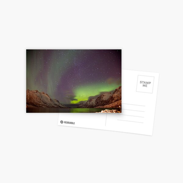 Northern Lights Postcard