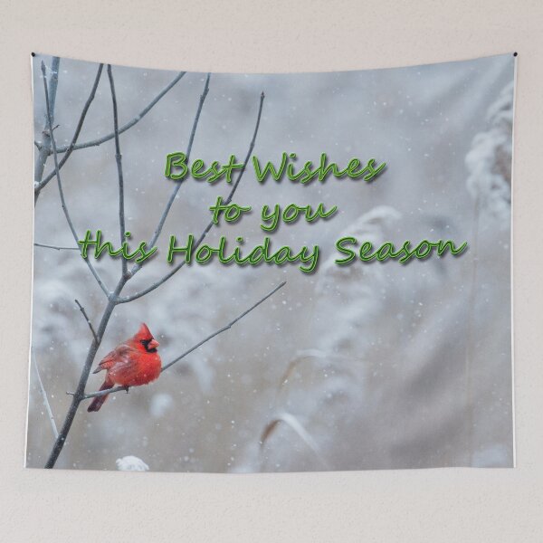 Item preview, Holiday Greetings designed and sold by Frankie Cat Photography.