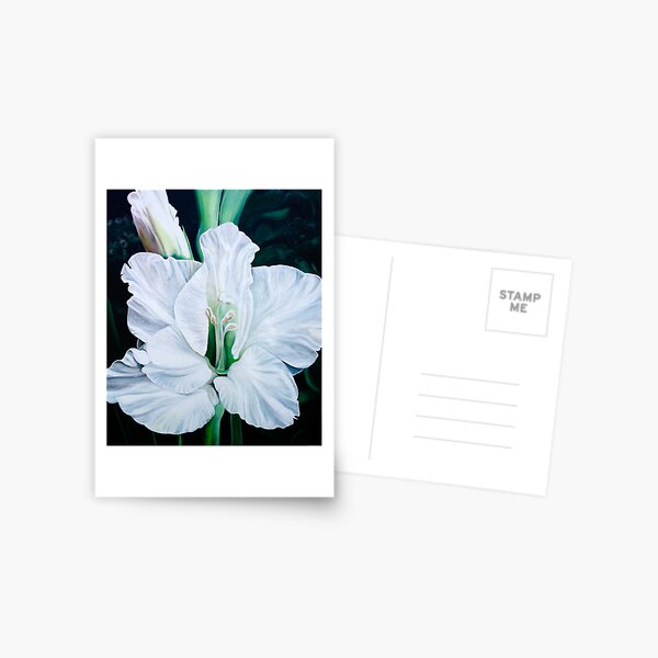 "Angel" - oil painting of a pure white gladiola flowers Postcard