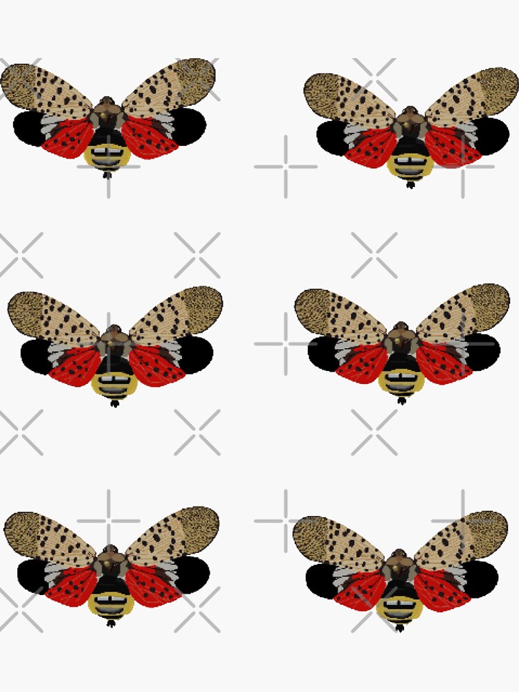 Spotted Lanternfly by radiantdark