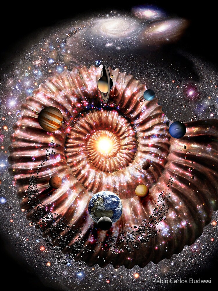GALAXY AMMONITE and SOLAR SYSTEM! by pablocbudassi