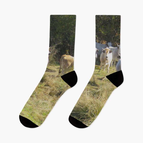Item preview, Twelve cows designed and sold by AHELENE.