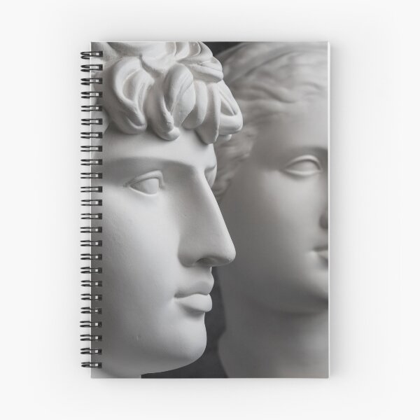 Item preview, Gypsum copy of ancient statue Antinous and Venus head on dark textured background. Plaster sculpture face. designed and sold by bashta.