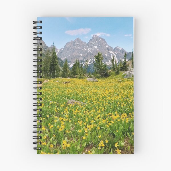 Item preview, Grand Teton National Park - grand tetons in summer, flowers designed and sold by mollyblack.