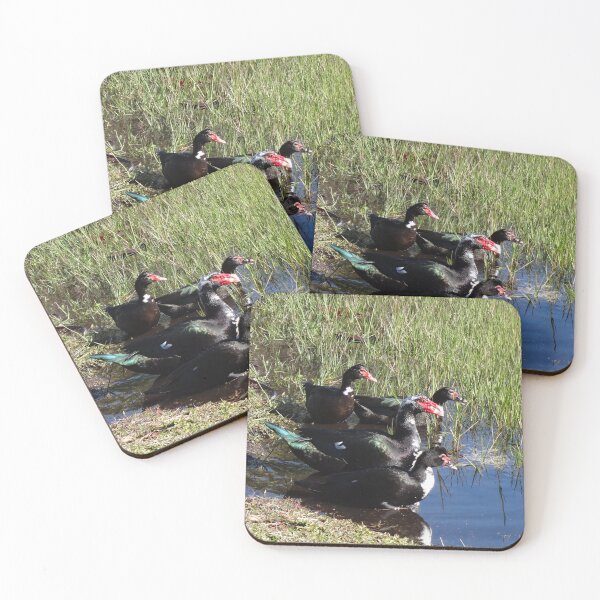 Item preview, Muscovy Ducks by Orikall designed and sold by HippieWorks.