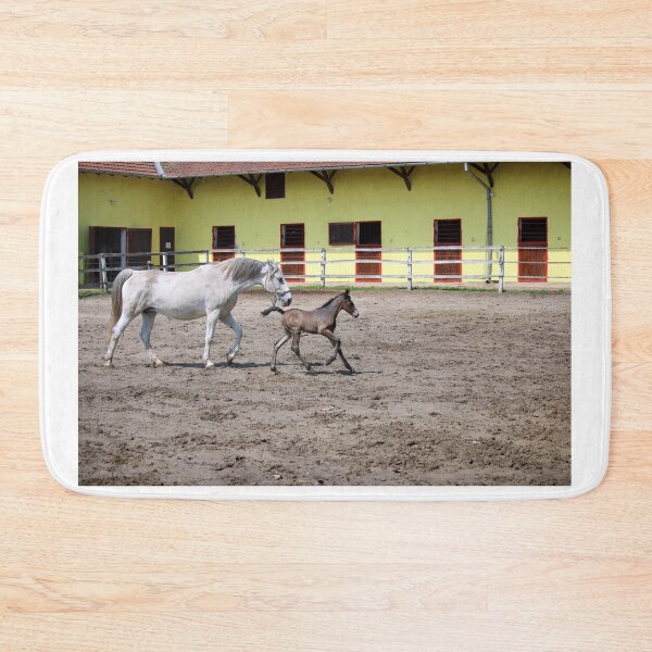 Item preview, Lipizzaner horses mare and young foal in corral designed and sold by goceris.