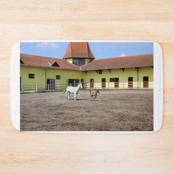 Item preview, Lipizzaner horses mare and young foal running in corral designed and sold by goceris.