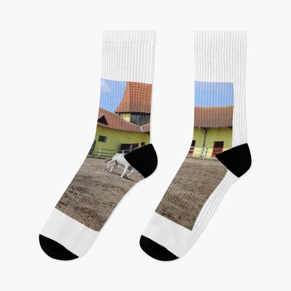 Item preview, Lipizzaner horses mare and young foal running in corral designed and sold by goceris.