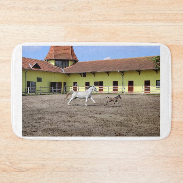 Item preview, Lipizzaner mare and young foal running in corral designed and sold by goceris.