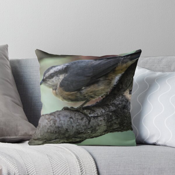 Item preview, White Breasted Nuthatch.  designed and sold by CanadianWild418.
