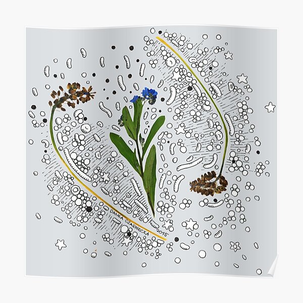 Blue bells in blue! Poster