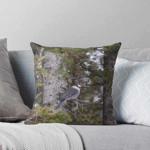 Item preview, Gray Jay. designed and sold by CanadianWild418.