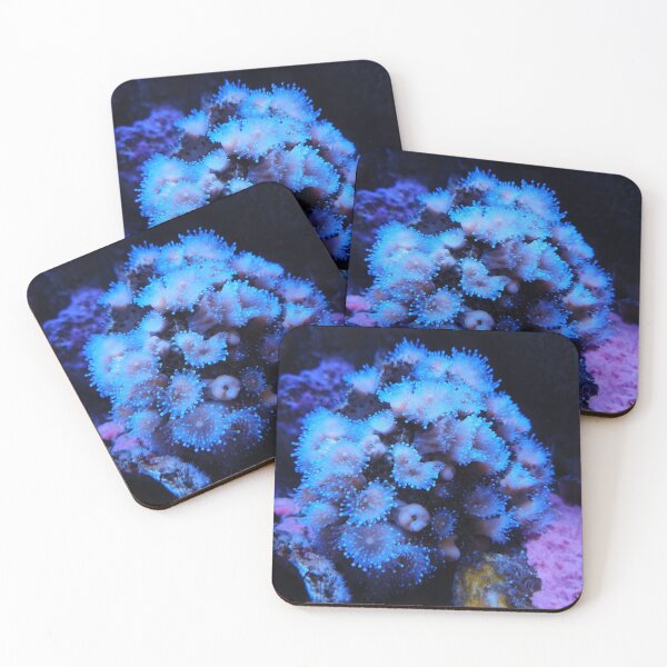Item preview, Anemone designed and sold by McKenna Klein.